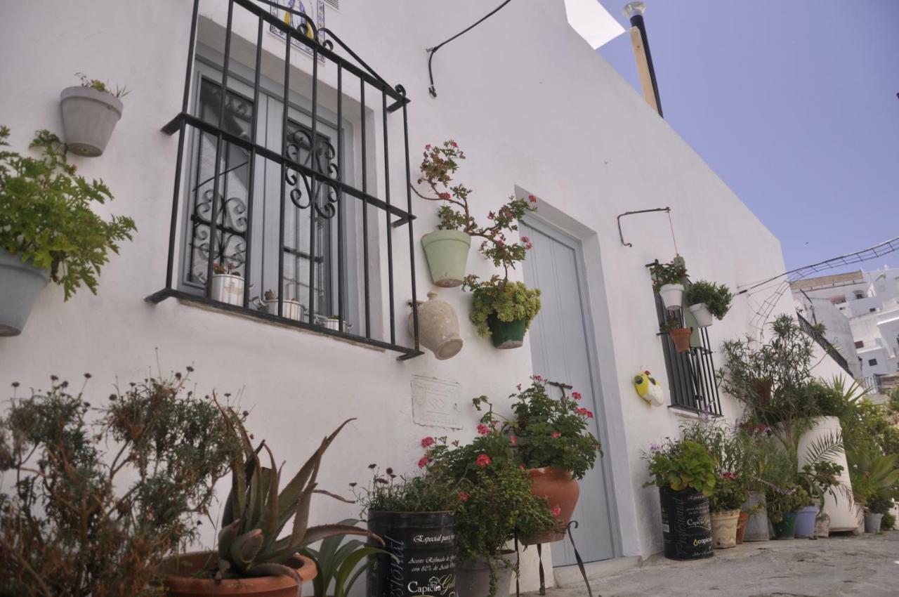 Vivienda Turistica De Alojamiento Rural Silla Vieja 11 베예데라프론테라 외부 사진